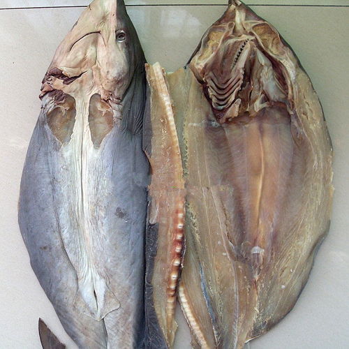 整條鯊魚干500克深海大鯊魚肉干海產(chǎn)品干魚鲞海鮮干貨
